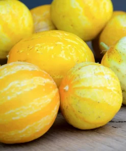 Lemon Cucumber Seeds - 30 Count - Unique Round Yellow Cucumbers for Gardens - Image 3
