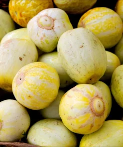 Lemon Cucumber Seeds - 30 Count - Unique Round Yellow Cucumbers for Gardens - Image 4