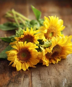 Lemon Queen Sunflower Seeds - Heirloom Helianthus annuus - 25 Seed Pack for Gardens - Image 2