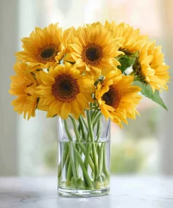 Lemon Queen Sunflower Seeds - Heirloom Helianthus annuus - 25 Seed Pack for Gardens - Image 3
