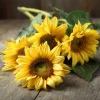 Lemon Queen Sunflower Seeds - Heirloom Helianthus annuus - 25 Seed Pack for Gardens - Image 1