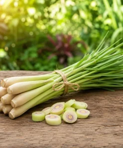 Lemongrass Live Plant for Planting - Fragrant Perennial Herb, 1 Gallon Pot - Image 2