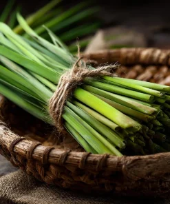 Lemongrass Seeds 100 Count - Heirloom Aromatic Medicinal Herb - Image 3