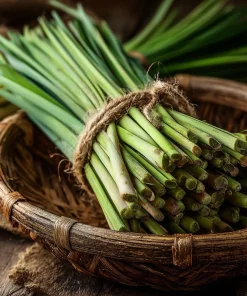 Lemongrass Seeds 100 Count - Heirloom Aromatic Medicinal Herb - Image 5