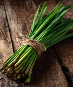 Lemongrass Seeds 100 Count - Heirloom Aromatic Medicinal Herb - Image 6