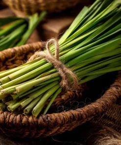 Lemongrass Seeds 100 Count - Heirloom Aromatic Medicinal Herb - Image 1