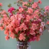 Light Salmon Clarkia Seeds - Wildflower for Gardens & Bouquets - 50 Seeds - Image 1