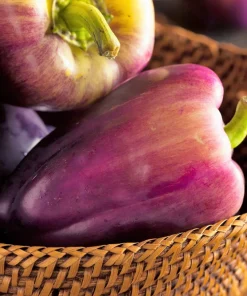 Lilac Bell Pepper Seeds - Sweet Mild Purple Capsicum Annuum - 100 Seeds - Image 3