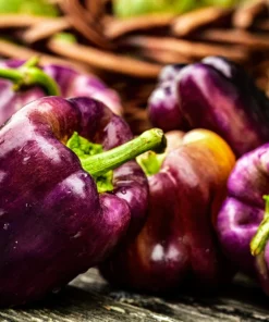 Lilac Bell Pepper Seeds - Sweet Mild Purple Capsicum Annuum - 100 Seeds - Image 7