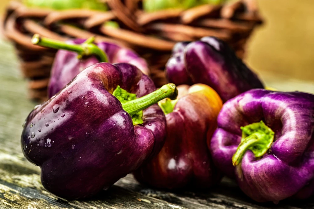 Lilac Bell Pepper Seeds - Sweet Mild Purple Capsicum Annuum - 100 Seeds - Image 7