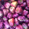 Lilac Bell Pepper Seeds - Sweet Mild Purple Capsicum Annuum - 100 Seeds - Image 1