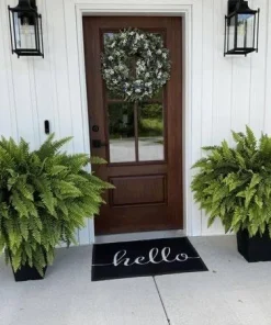 Live Fern Hanging Basket – Lush Indoor Outdoor Fern Houseplant – Potted Plant - Image 2