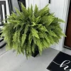 Live Fern Hanging Basket – Lush Indoor Outdoor Fern Houseplant – Potted Plant - Image 1