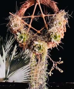 Live Succulents in Dream Catcher Wood Stand - Unique Tabletop Decor - Image 1