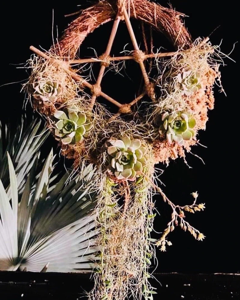 Live Succulents in Dream Catcher Wood Stand - Unique Tabletop Decor - Image 1