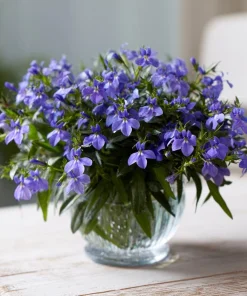 Lobelia Crystal Palace Seeds – Violet-Blue Edging Flowers, 50 Seeds, Annual - Image 4