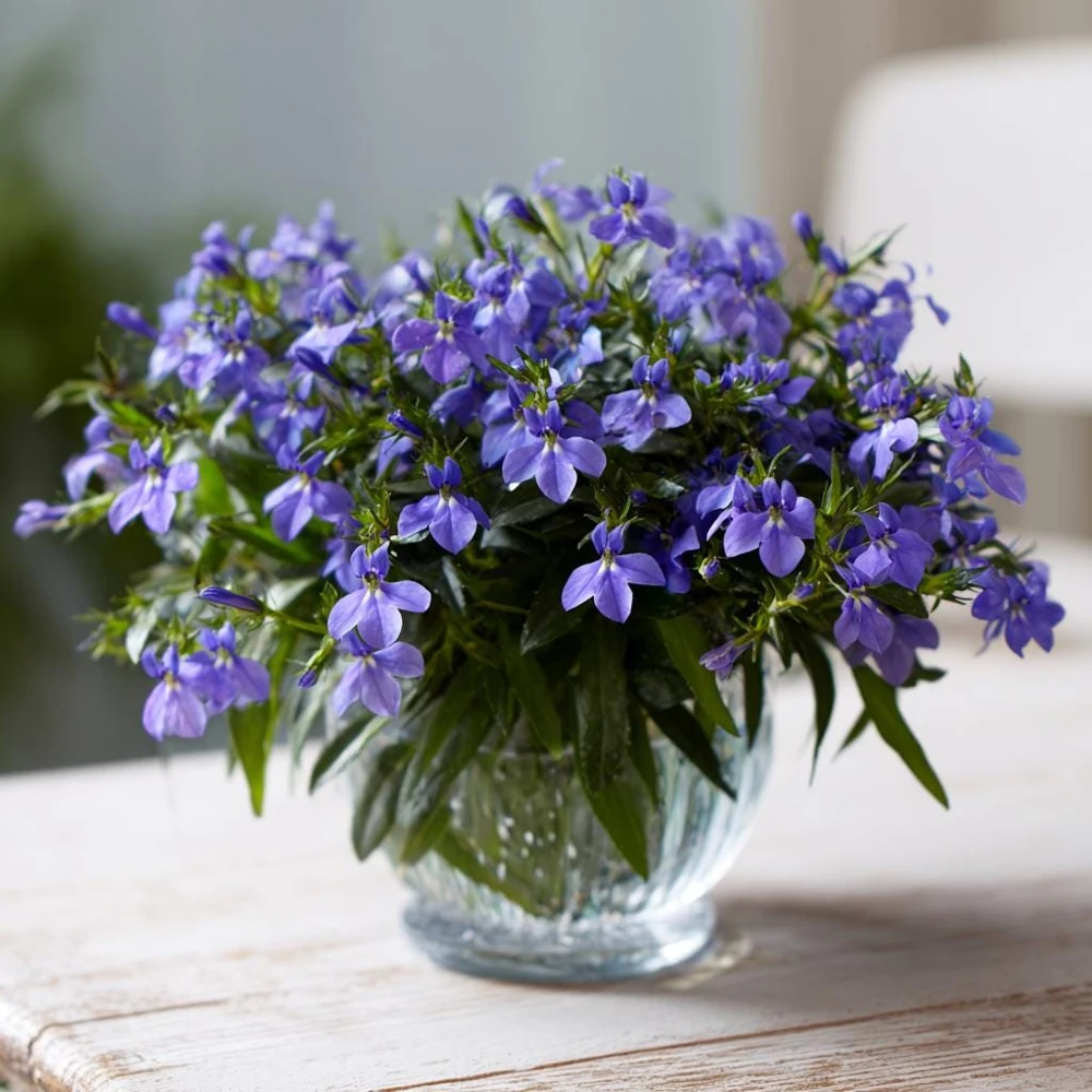 Lobelia Crystal Palace Seeds – Violet-Blue Edging Flowers, 50 Seeds, Annual - Image 4
