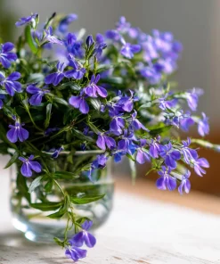 Lobelia Crystal Palace Seeds – Violet-Blue Edging Flowers, 50 Seeds, Annual - Image 6