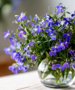 Lobelia Crystal Palace Seeds – Violet-Blue Edging Flowers, 50 Seeds, Annual - Image 8