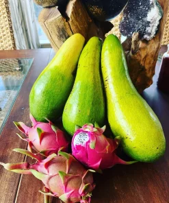 Long Neck Avocado Tree Live Plant – Self-Pollinating – Outdoor Fruit Tree - Image 4