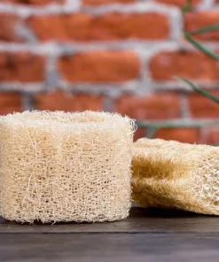 Luffa Gourd Seeds - 15 Count Heirloom Edible & Natural Sponge Gourds - Image 4