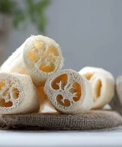 Luffa Gourd Seeds - 15 Count Heirloom Edible & Natural Sponge Gourds - Image 1