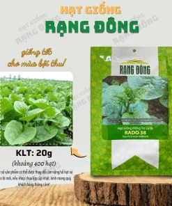 Malabar Spinach Seeds - Large-Leaf Green Climbing Vine, 400 Seeds - Image 5