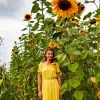 Mammoth Russian Sunflower Seeds - 10 Count, Giant Yellow Flowers, 7-8 ft Tall - Image 1