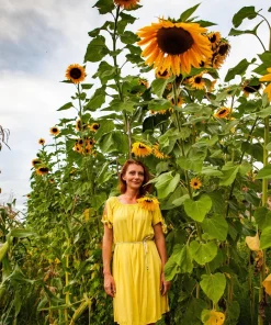 Mammoth Russian Sunflower Seeds - 10 Count, Giant Yellow Flowers, 7-8 ft Tall - Image 1