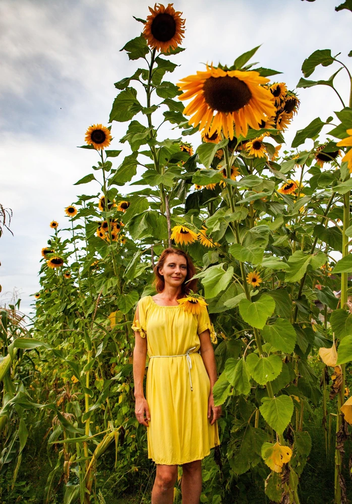 Mammoth Russian Sunflower Seeds - 10 Count, Giant Yellow Flowers, 7-8 ft Tall - Image 1