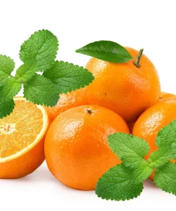Mandarina Balm Seeds - Orange Lemon Balm Herb Seeds - Melissa Officinalis - 25 Count - Image 1