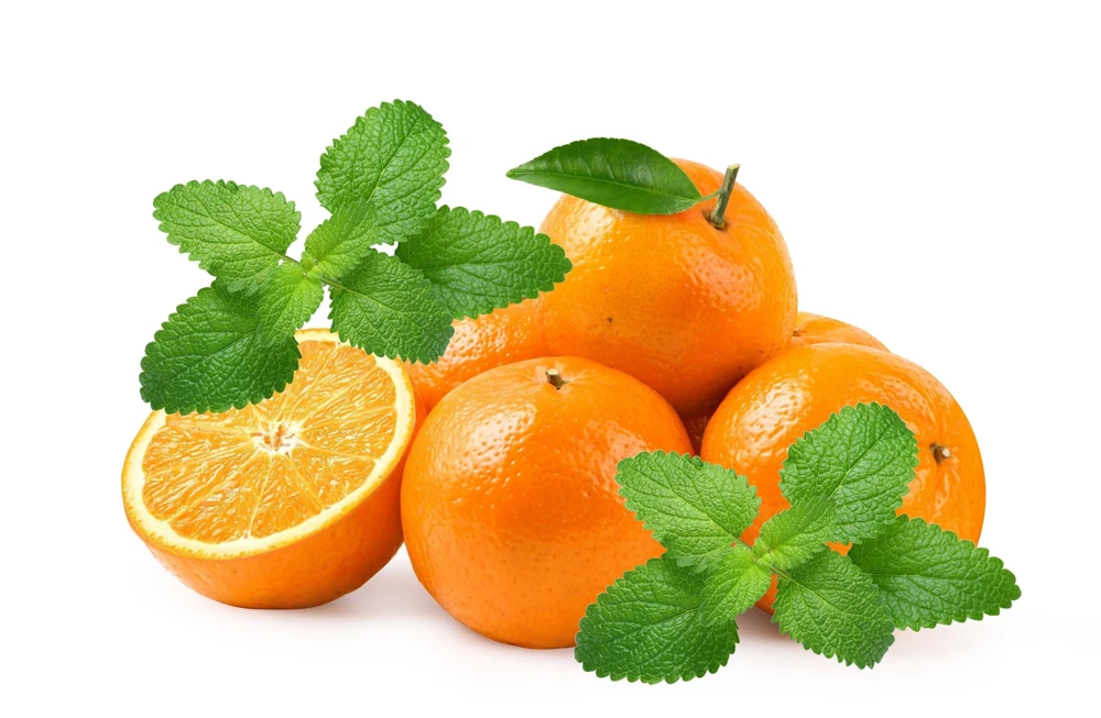 Mandarina Balm Seeds - Orange Lemon Balm Herb Seeds - Melissa Officinalis - 25 Count - Image 1