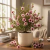 Manuka Tea Tree Live Plant - New Zealand Tea Tree 4 to 6 Inch Tall for Home Garden, Outdoor Shrub - Image 1