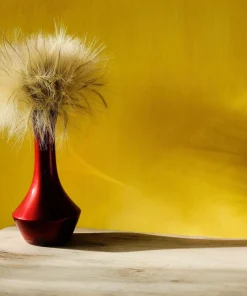 Mexican Feather Grass Seeds - Stipa Tenuissima Ornamental Pony Tails - 25 Seeds - Image 12