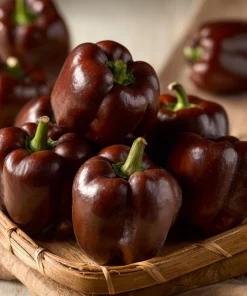 Mini Chocolate Sweet Bell Pepper Seeds – High-Yield, Compact – 20 Seeds - Image 2