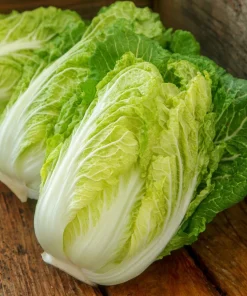 Mini Napa Cabbage Seeds – 50 Seeds – Compact Chinese Cabbage for Containers & Gardens - Image 2