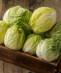 Mini Napa Cabbage Seeds – 50 Seeds – Compact Chinese Cabbage for Containers & Gardens - Image 3
