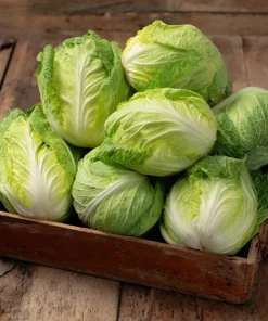 Mini Napa Cabbage Seeds – 50 Seeds – Compact Chinese Cabbage for Containers & Gardens - Image 1