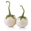 Mini White Round Eggplant Seeds - 100 Seeds for Planting - Sweet Flavor - Image 1