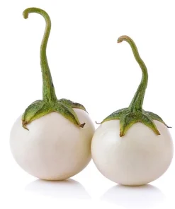 Mini White Round Eggplant Seeds - 100 Seeds for Planting - Sweet Flavor - Image 1