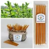 Mint Honey Snack Sticks - 5 Pack Natural Honeystix Straws, US Grade A Honey - Image 1