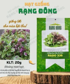 Mix Amaranth Vietnamese Seeds - 7000 Seeds (20g) - 3 Colors for Planting - Image 3