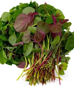 Mix Amaranth Vietnamese Seeds - 7000 Seeds (20g) - 3 Colors for Planting - Image 6