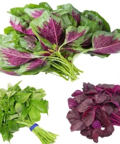 Mix Amaranth Vietnamese Seeds - 7000 Seeds (20g) - 3 Colors for Planting - Image 1