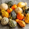 Mixed Gourd Seeds – Cucurbita Pepo – 15 Seeds – Colorful Garden Decor - Image 1
