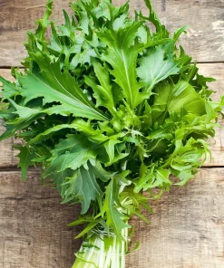 Mizuna Mustard Greens Seeds - Heirloom, Fast-Growing Leafy Greens, 250 Seeds - Image 3