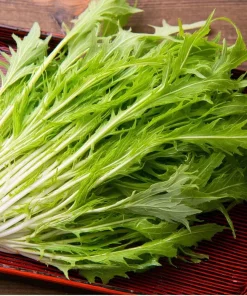 Mizuna Mustard Greens Seeds - Heirloom, Fast-Growing Leafy Greens, 250 Seeds - Image 1