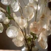 Money Plant Seeds – 50 Lunaria Biennis Silver Dollar Seeds – Biennial Flower - Image 1