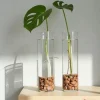 Monstera Deliciosa Live Plant - Iconic Split-Leaf Philodendron - Indoor Houseplant - Image 1