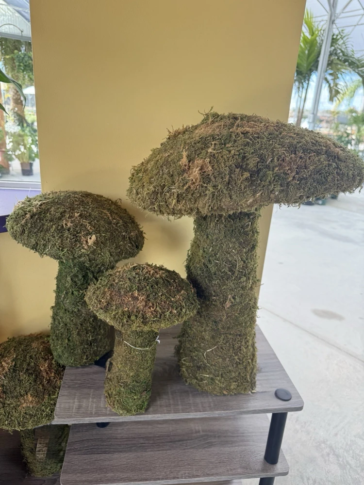 Moss Mushrooms - Decorative Garden & Terrarium Decor - Set of Faux Mushrooms - Image 1